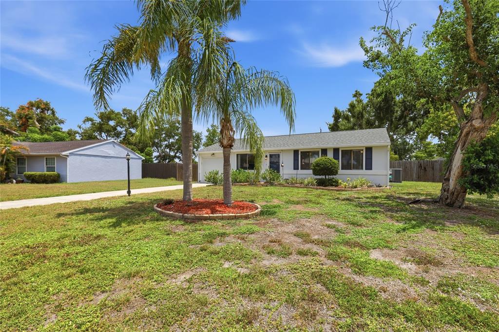 A single-story house with a palm tree in the front yard under a blue sky — 2959 N LOCKWOOD MEADOWS BOULEVARD, SARASOTA, FL