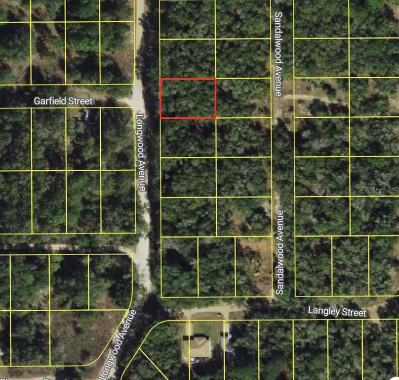 An aerial map shows a rectangular lot outlined in red within a wooded residential area — 702 LONGWOOD AVENUE, INVERNESS, FL