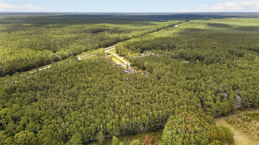An aerial view shows a house nestled within a dense forest near a small pond — HWY 92 AT BIG JOHN RD, DELAND, FL