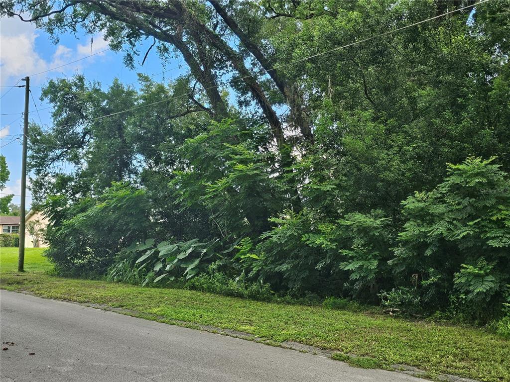 N CARPENTER AVENUE, ORANGE CITY, FL — photo 2 of 9