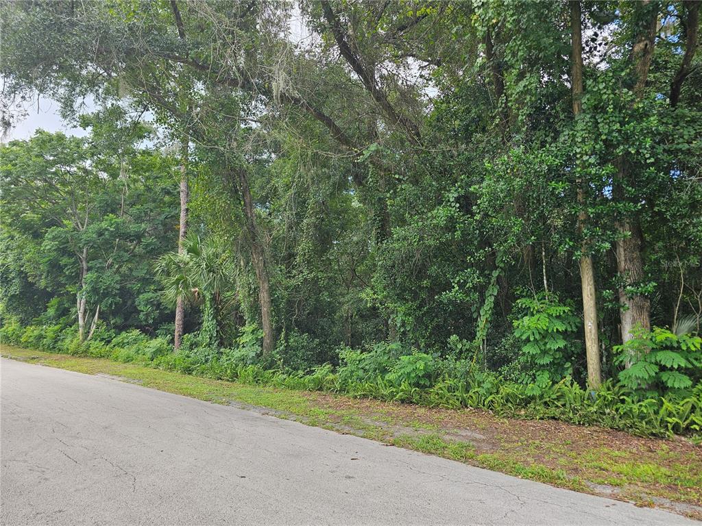 N CARPENTER AVENUE, ORANGE CITY, FL — photo 3 of 9