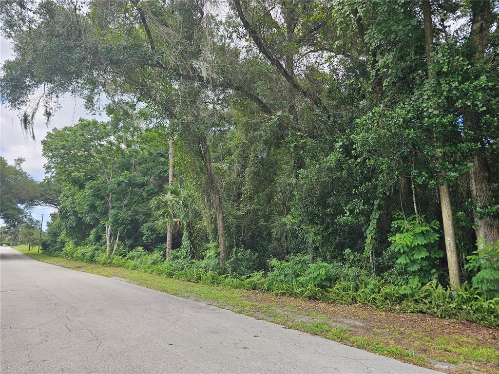 N CARPENTER AVENUE, ORANGE CITY, FL — photo 4 of 9