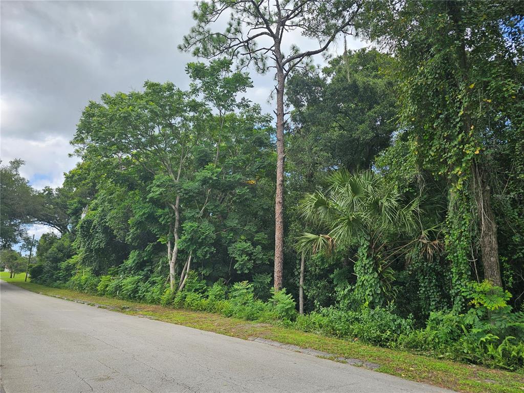 N CARPENTER AVENUE, ORANGE CITY, FL — photo 5 of 9