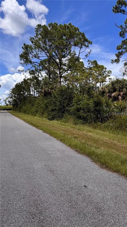 A paved road runs alongside a wooded lot with tall pine trees and dense vegetation — 72 POMPANO STREET, PORT CHARLOTTE, FL