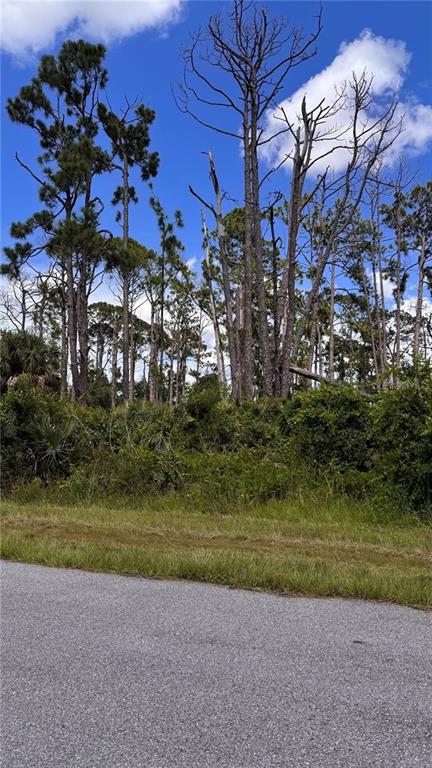 A view of a vacant, wooded lot with tall pine trees and dense underbrush — 72 POMPANO STREET, PORT CHARLOTTE, FL
