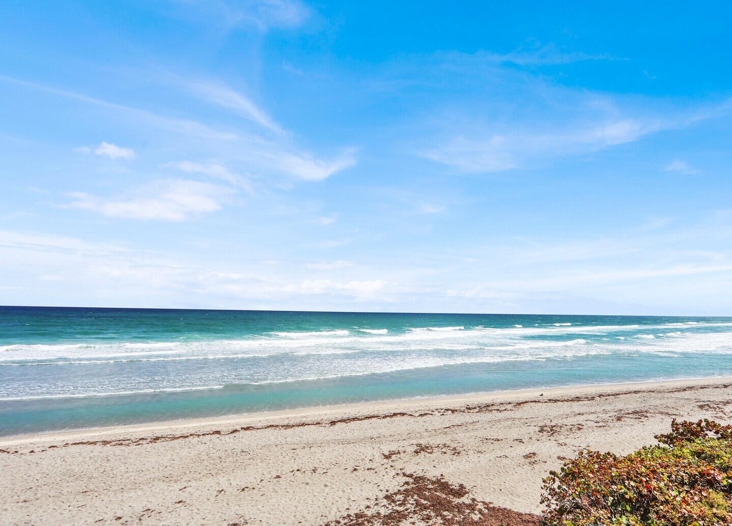 900 Ocean Drive # 207, Juno Beach FL 33408