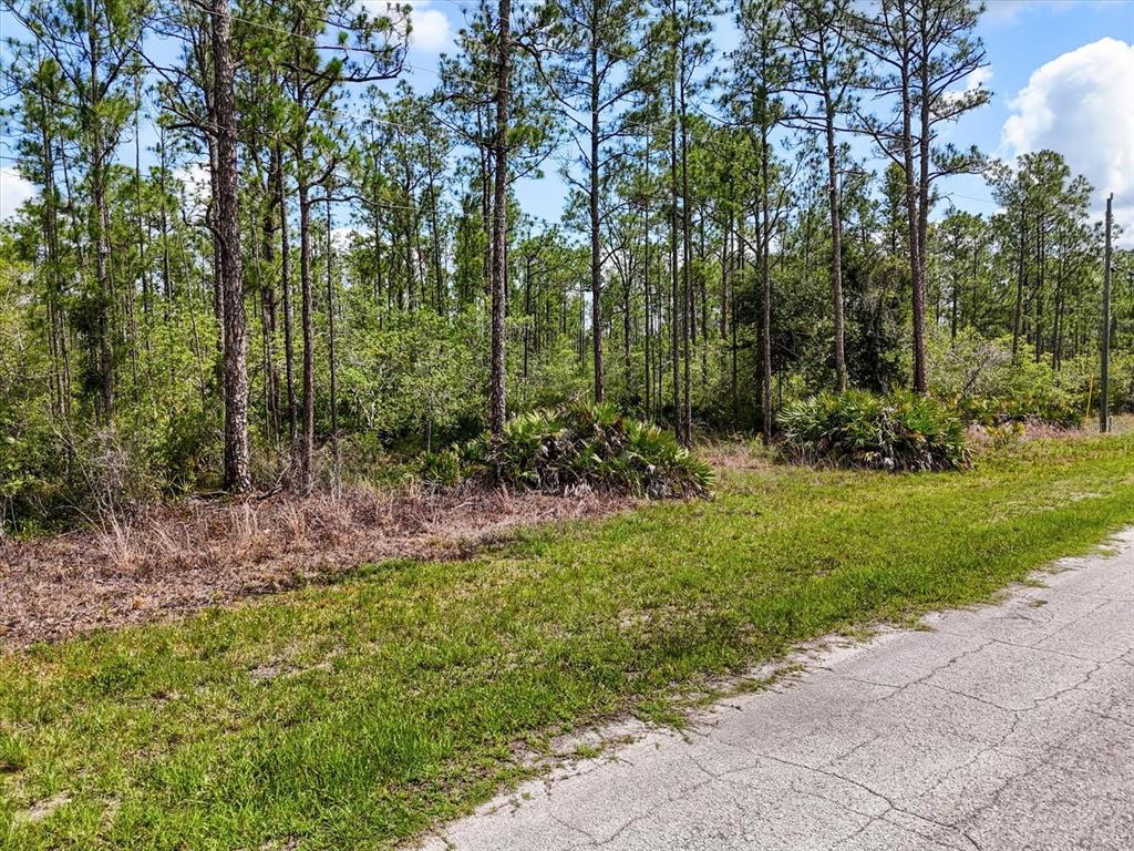 LOT 62 MEADOW LARK BOULEVARD
