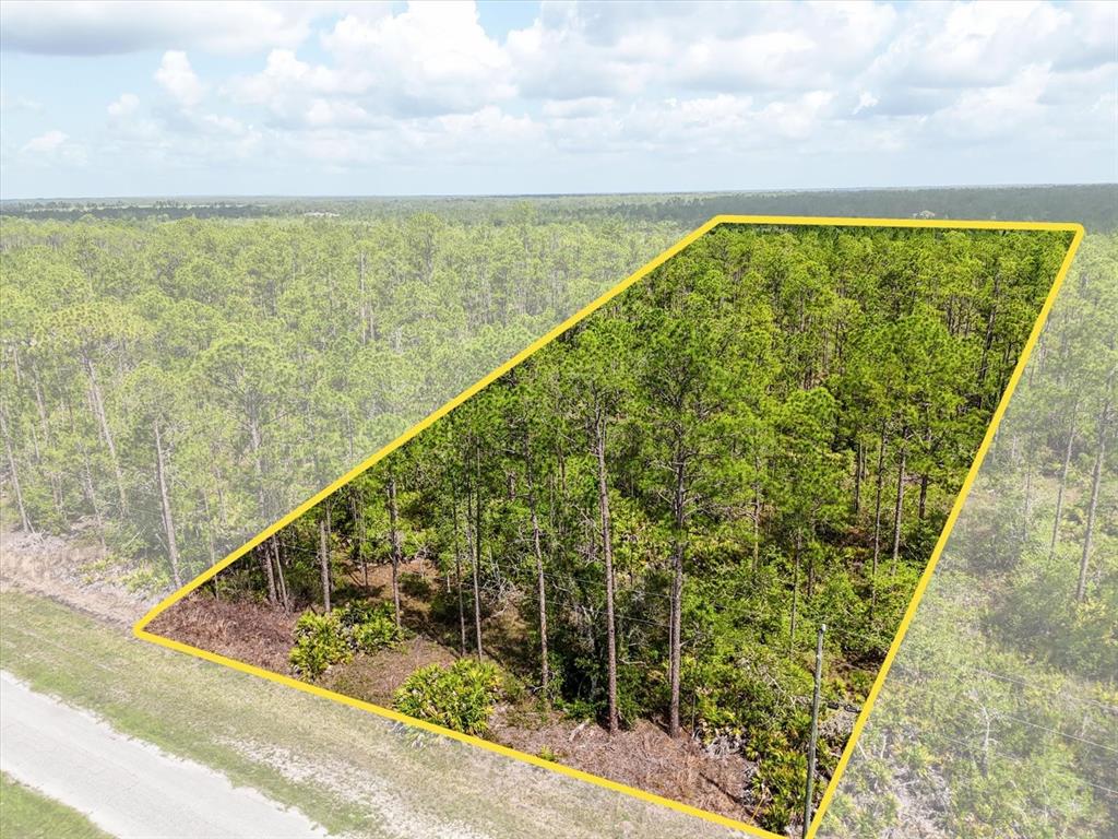 An aerial view shows a rectangular plot of wooded land bordered by a dirt road — LOT 62 MEADOW LARK BOULEVARD, LAKE WALES, FL