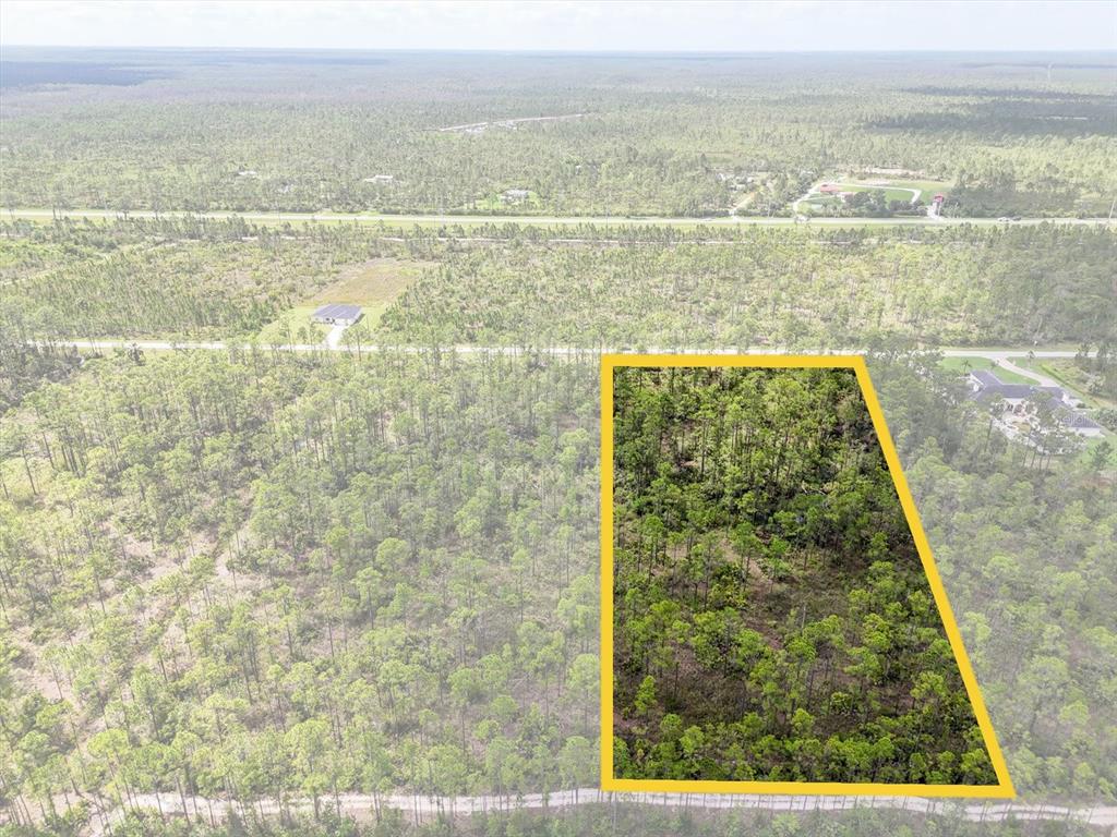 An aerial view shows a wooded lot highlighted by a yellow border in a rural area — LOT 62 MEADOW LARK BOULEVARD, LAKE WALES, FL