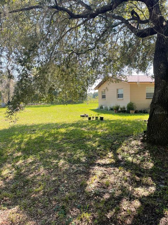 A large tree shades a grassy backyard next to a single-story house — 11433 S ROSEWATER POINT, HOMOSASSA, FL