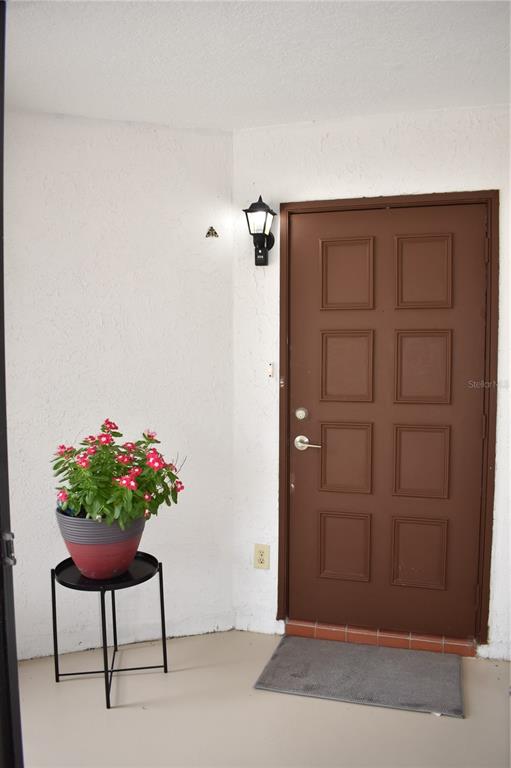 A brown front door sits next to a potted plant on a stand — 1702 AURA COURT, SUN CITY CENTER, FL