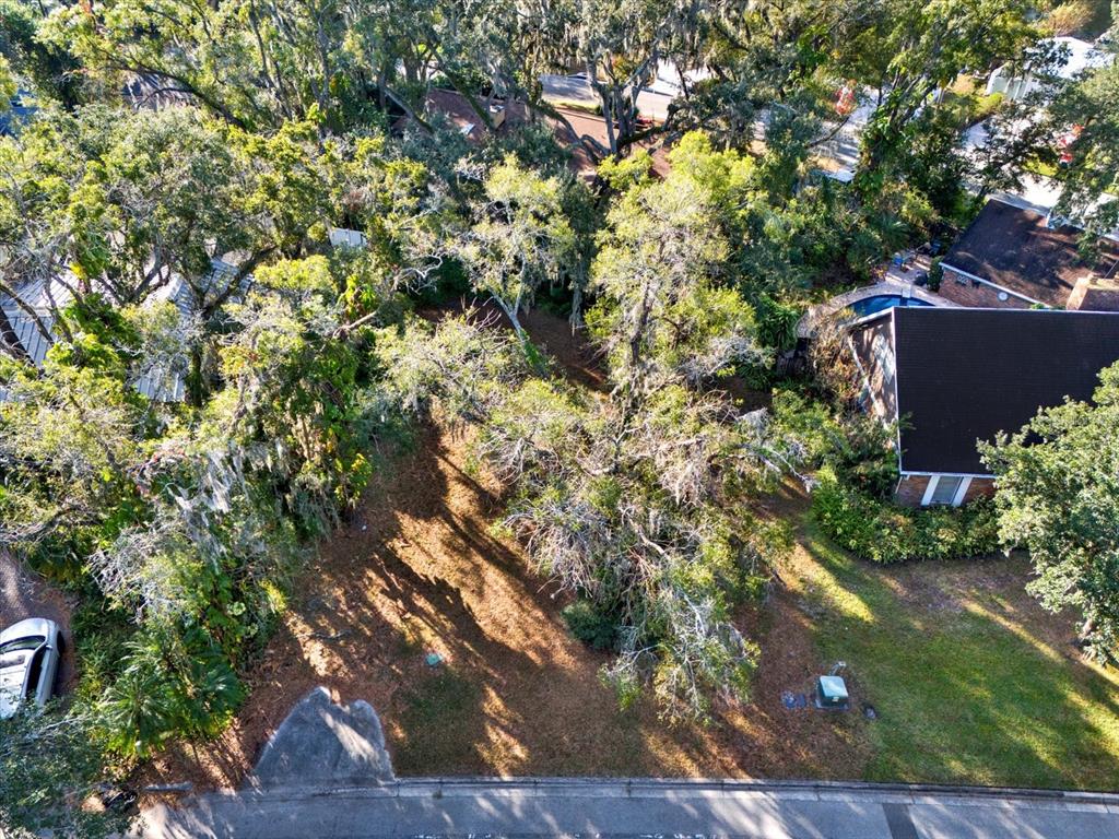 An aerial view shows a wooded residential lot situated between two houses — 1113 N RIVERHILLS DRIVE, TEMPLE TERRACE, FL