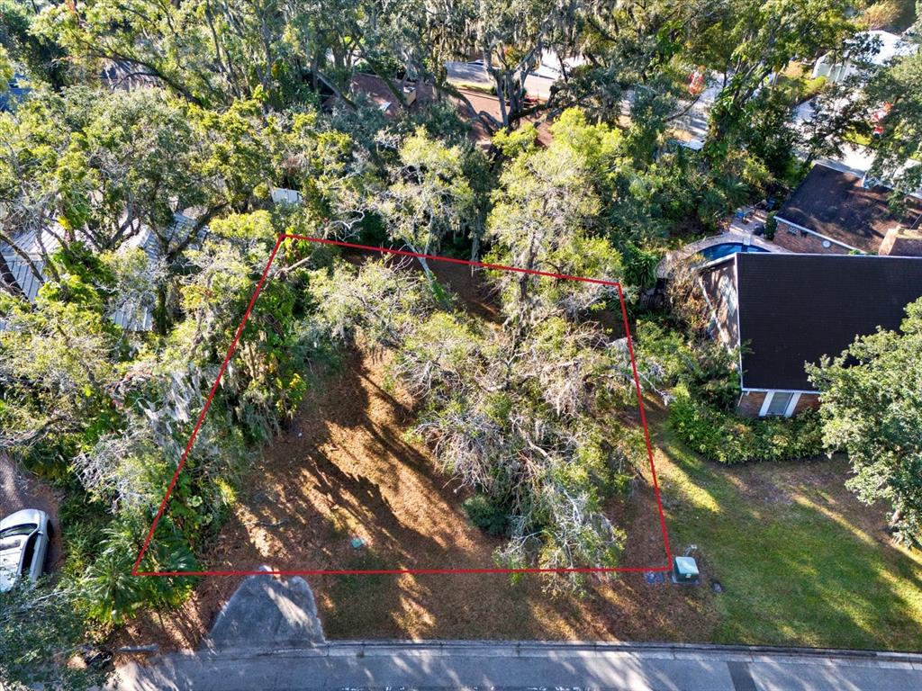An aerial view shows a wooded residential lot outlined in red next to a house — 1113 N RIVERHILLS DRIVE, TEMPLE TERRACE, FL
