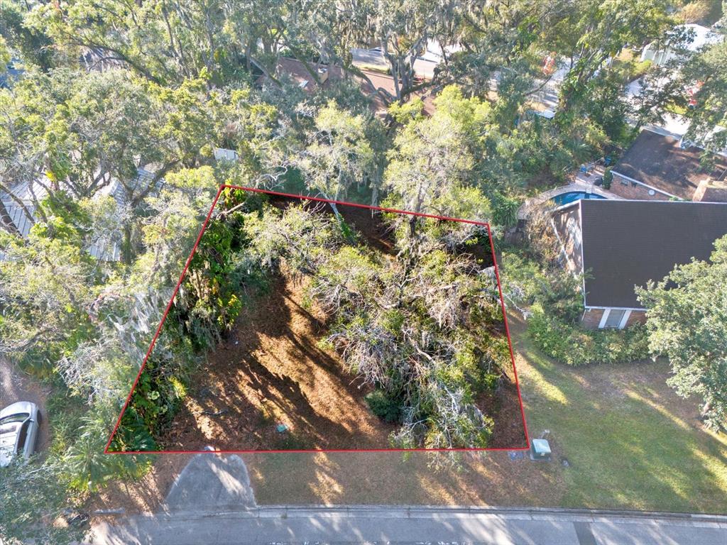 An aerial view shows a vacant, tree-covered residential lot outlined in red — 1113 N RIVERHILLS DRIVE, TEMPLE TERRACE, FL