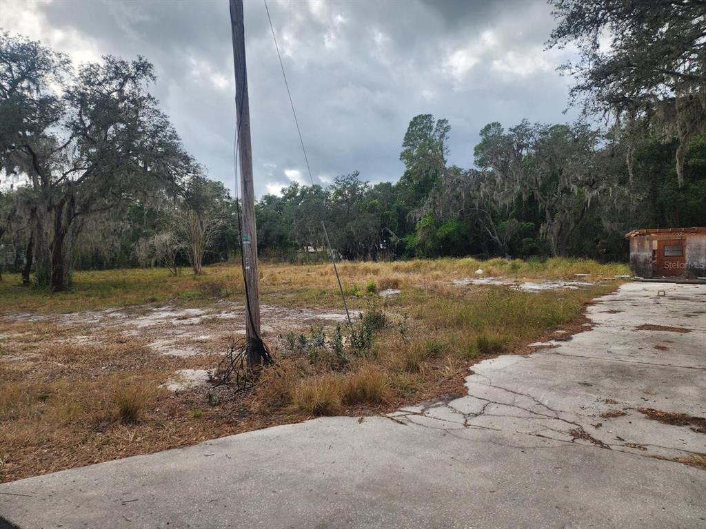 A vacant lot features a cracked concrete driveway, a utility pole, and surrounding trees — 1409 WILKINSON DRIVE, PLANT CITY, FL