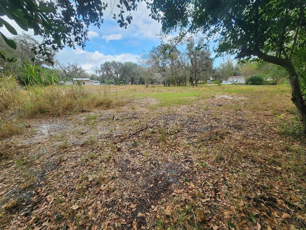 A view of a flat, grassy, and wooded vacant lot under a partly cloudy sky — 1409 WILKINSON DRIVE, PLANT CITY, FL