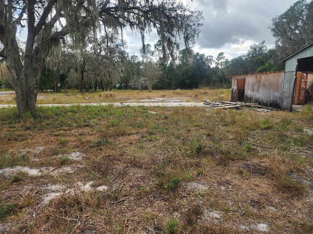 A grassy, partially cleared lot features a large oak tree and a weathered wooden shed — 1409 WILKINSON DRIVE, PLANT CITY, FL
