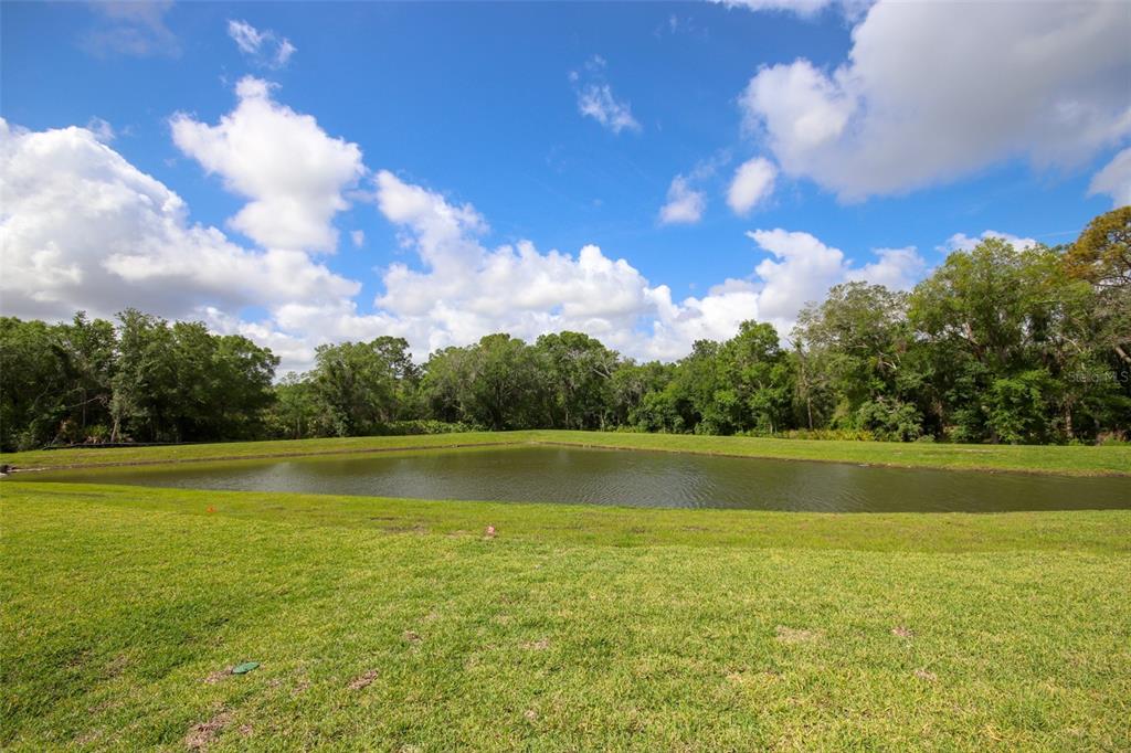 A grassy lawn slopes down to a retention pond bordered by a line of trees — 10347 ALDER GREEN DRIVE, RIVERVIEW, FL