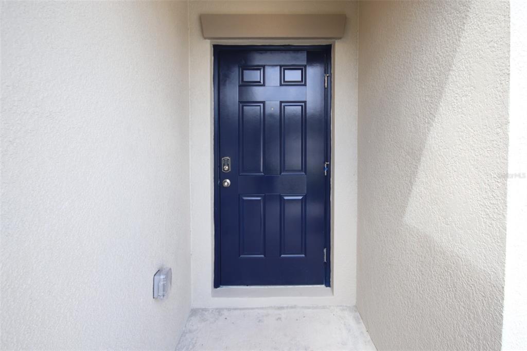 A glossy dark blue front door is set within a recessed entryway with beige walls — 10347 ALDER GREEN DRIVE, RIVERVIEW, FL