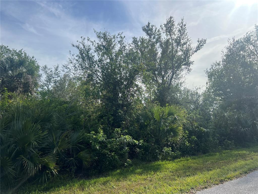 A dense patch of trees and palmetto bushes borders a paved road — 7168 LIPPMAN ROAD, PORT CHARLOTTE, FL