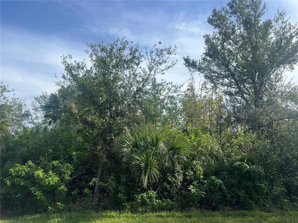 A dense thicket of trees and palmettos stands behind a patch of green grass — 7168 LIPPMAN ROAD, PORT CHARLOTTE, FL