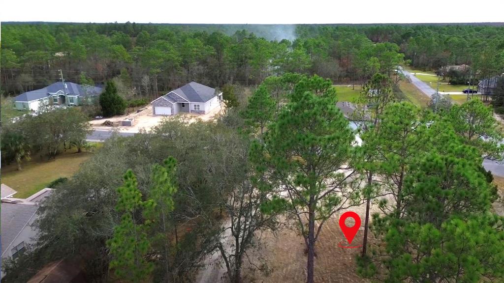 An aerial view shows a wooded residential lot with a red location pin marker — 10379 THRASHER AVENUE, WEEKI WACHEE, FL