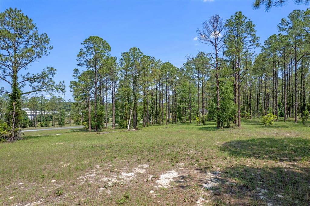 35408 PINEGATE TRAIL, EUSTIS, FL — photo 2 of 16