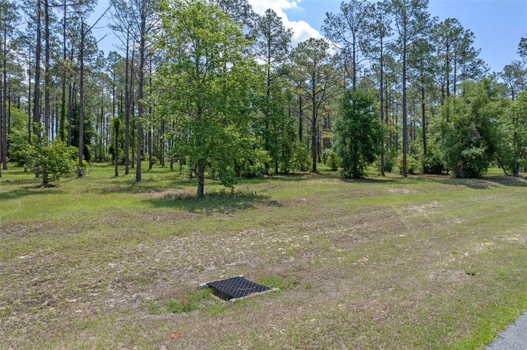35408 PINEGATE TRAIL, EUSTIS, FL — photo 3 of 16