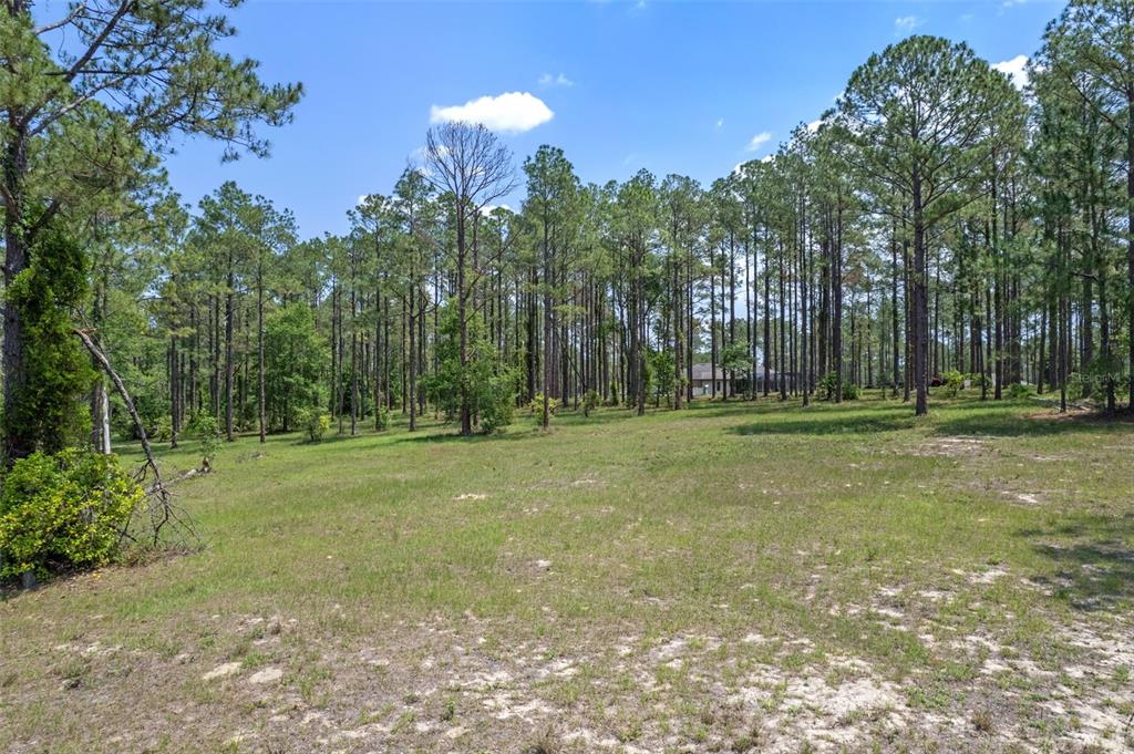 35408 PINEGATE TRAIL, EUSTIS, FL — photo 5 of 16