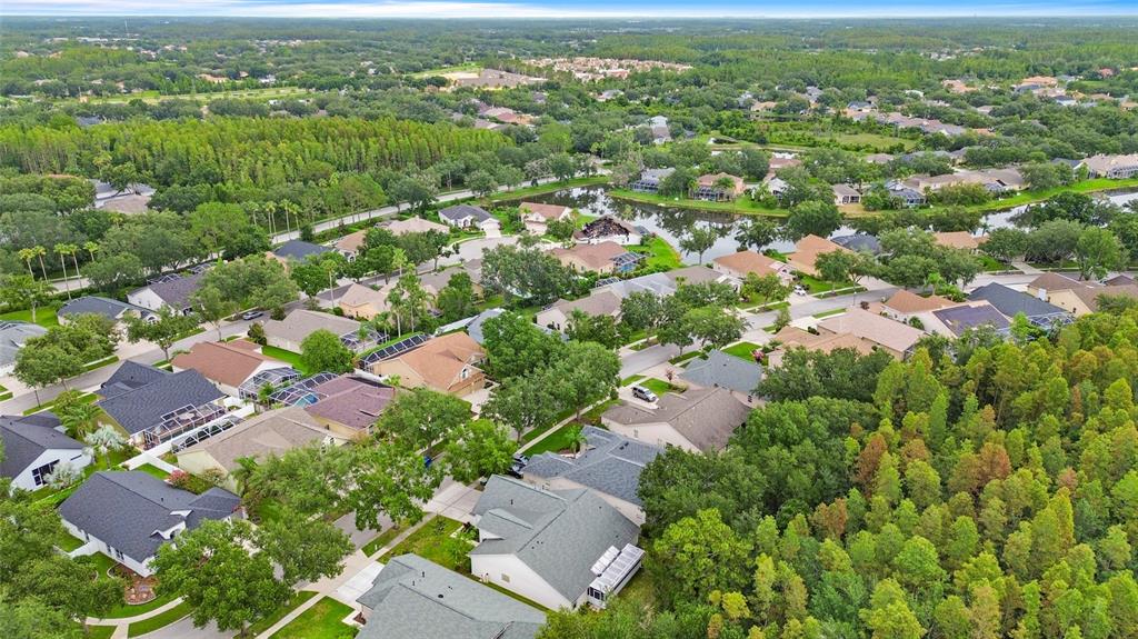 An aerial view of a suburban neighborhood featuring houses, a small lake, and surrounding trees — 10217 TIMBERLAND POINT DRIVE, TAMPA, FL