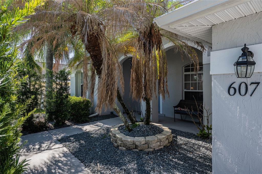 A palm tree grows in a stone planter in front of a house entrance — 6077 CASON WAY, LAKELAND, FL