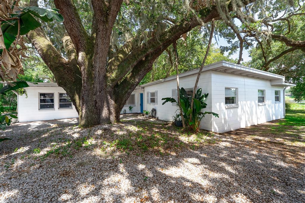 A wooden dock with a small table and two chairs overlooks a lily pad-covered lake — 3107 LAKE MARGARET DRIVE, ORLANDO, FL