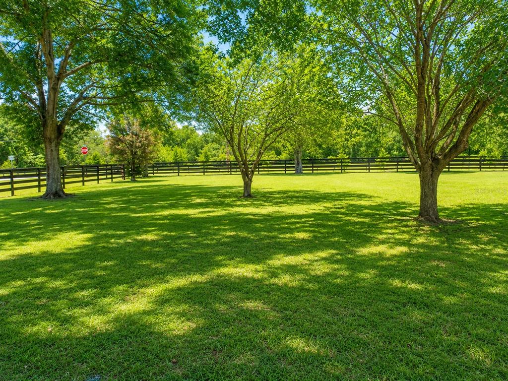 A large, grassy backyard features three mature trees and a long black wooden fence — 12820 NW 116TH PLACE, ALACHUA, FL