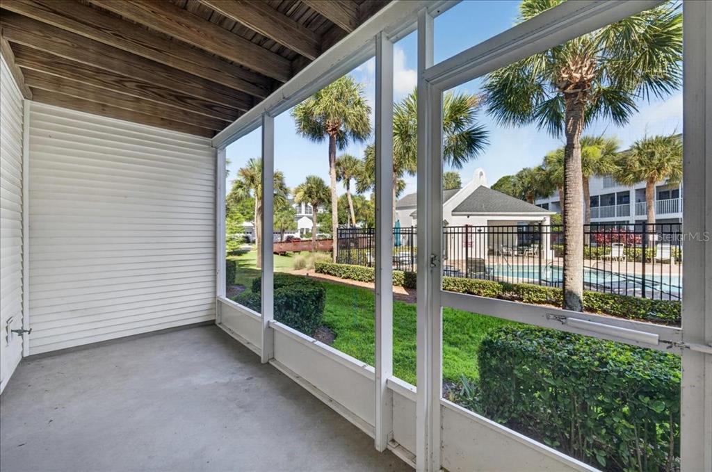 A screened-in porch with a concrete floor overlooks a swimming pool and palm trees — 14846 SEMINOLE TRAIL, SEMINOLE, FL