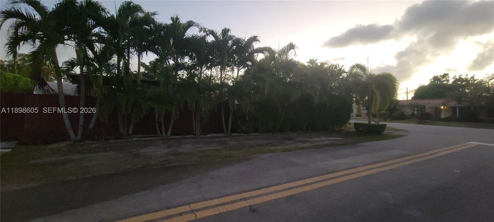 A row of palm trees stands along a dark fence next to a paved road — SOUTH MIAMI, FL