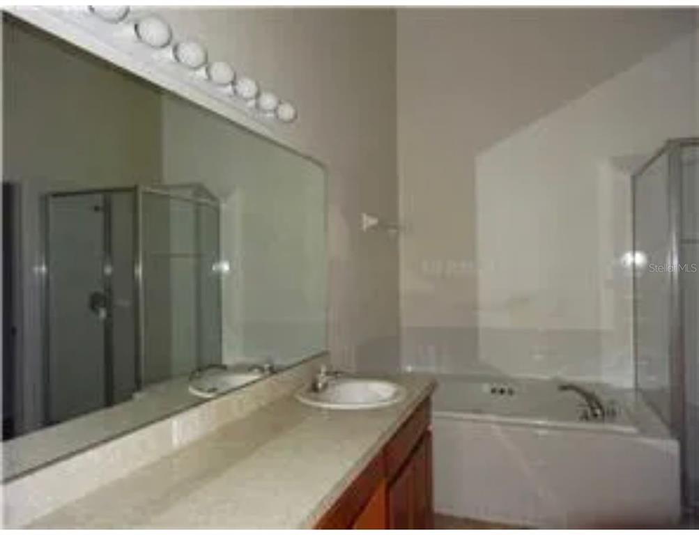 A bathroom features a large mirror, a single vanity sink, and a separate soaking tub — 855 BRAYTON LANE, DAVENPORT, FL