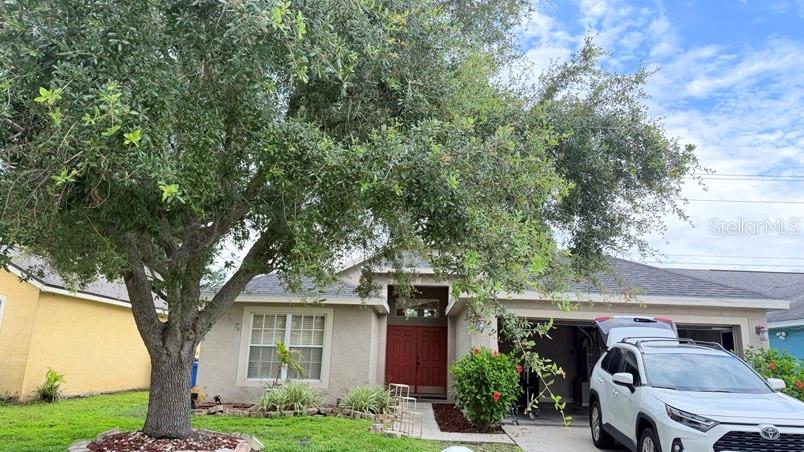 1120 VINETREE DRIVE