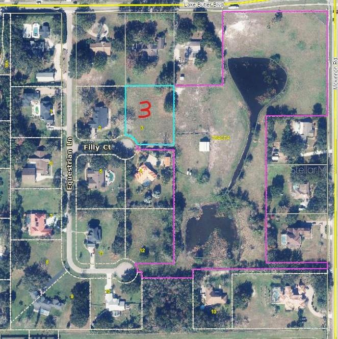 An aerial map shows a residential neighborhood with numbered lots, including a highlighted vacant lot — 13125 FILLY COURT, WINDERMERE, FL