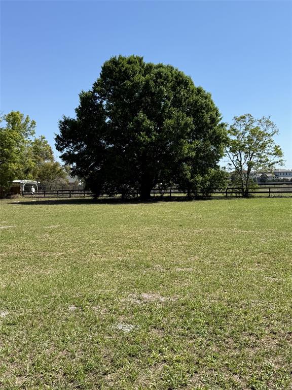 A large, mature tree stands in the center of a grassy, fenced-in field — 13125 FILLY COURT, WINDERMERE, FL