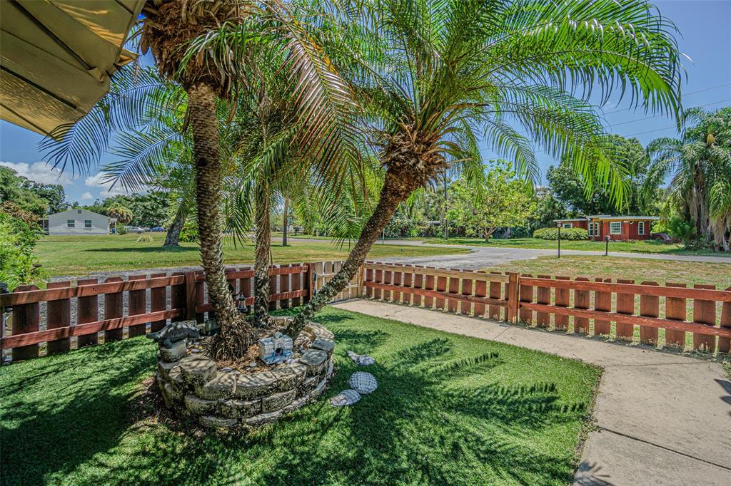 A small palm tree grows within a stone planter inside a fenced-in grassy yard — 721 OLEANDER WAY S, SOUTH PASADENA, FL