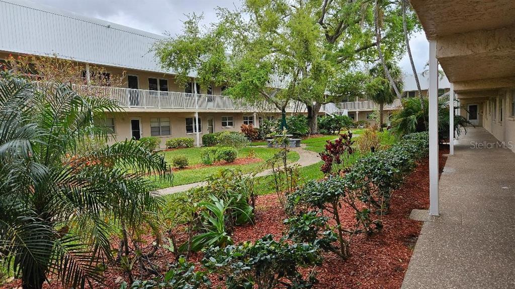 A view of a landscaped courtyard between two-story apartment buildings with covered walkways — 10035 63RD AVENUE N UNIT 6, ST PETERSBURG, FL