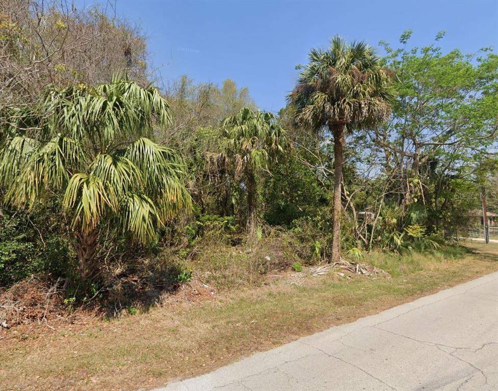 LONGWOOD DRIVE