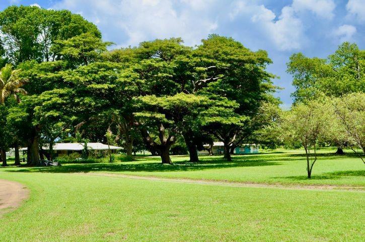 A grassy lawn with large trees and two small houses in the background — 74 Et Al Lane, VI 00840, VI