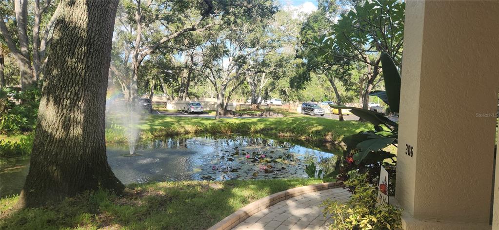 A view from a patio overlooking a pond with a fountain and lily pads — 304 LOS PRADOS UNIT 304, SAFETY HARBOR, FL