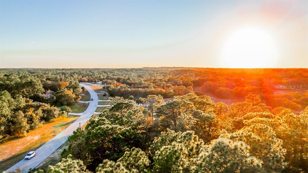 An aerial view shows a paved road winding through a wooded landscape at sunset — 5518 N ELKCAM BOULEVARD, BEVERLY HILLS, FL