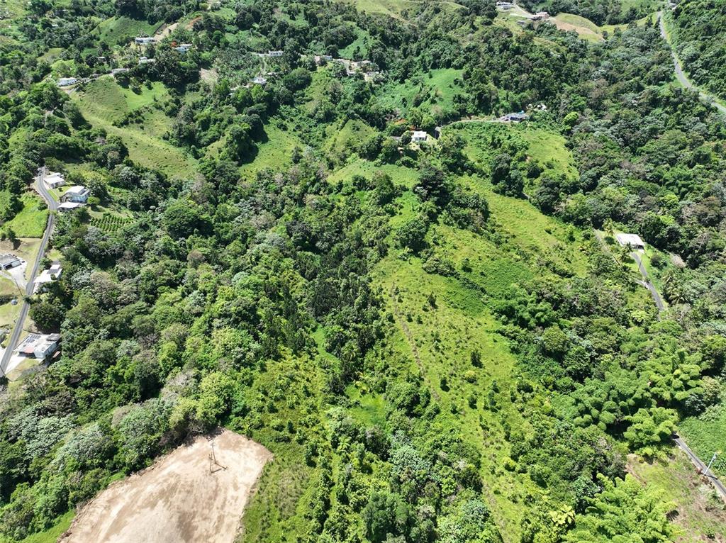 An aerial view shows a hilly, forested landscape with scattered houses and a cleared dirt lot — CARR 902 KM 10.1, YABUCOA, PR