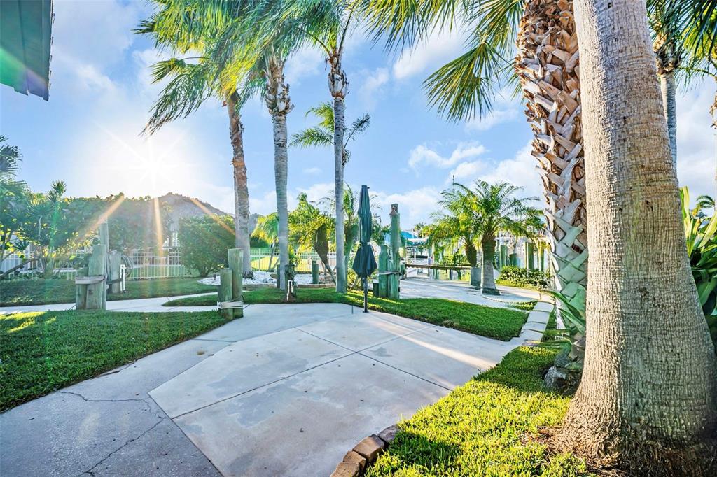 A paved patio area features palm trees, wooden pilings, and a view of a waterway — 4951 GALLEON COURT, NEW PORT RICHEY, FL