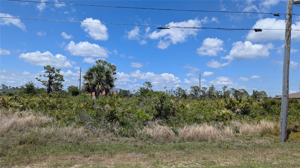 A vacant, overgrown lot with native vegetation and a utility pole under a blue sky — 13474 ABUTILON LANE, PORT CHARLOTTE, FL