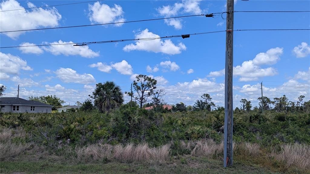 A vacant, overgrown lot with a utility pole in the foreground and distant houses — 13474 ABUTILON LANE, PORT CHARLOTTE, FL
