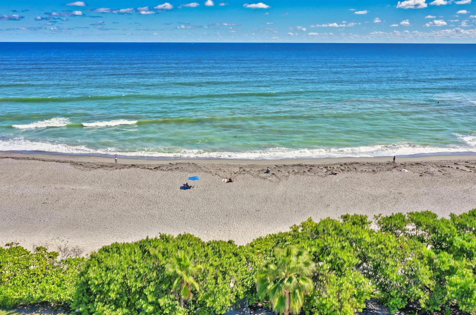An aerial view of a sandy beach with blue ocean waves and green coastal vegetation — 1605 S Us Highway 1 # 14e, Jupiter FL 33477, JUPITER, FL